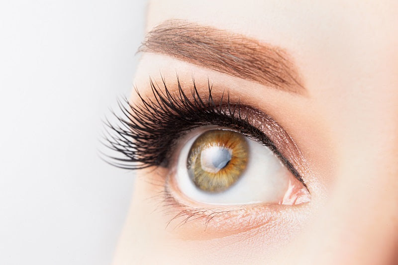 Your one stop solution for cat eye hybrid lashes and other range of classy lashes